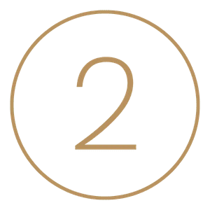 2 icon dorado